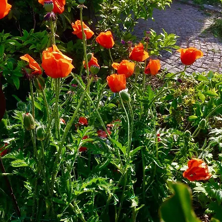 بيت ضيافة Haus Tirolerland اوتز