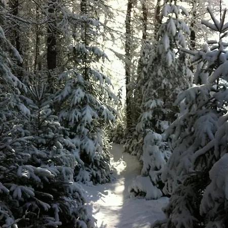 Haus Tirolerland بيت ضيافة اوتز