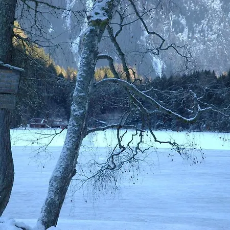 Haus Tirolerland بيت ضيافة اوتز