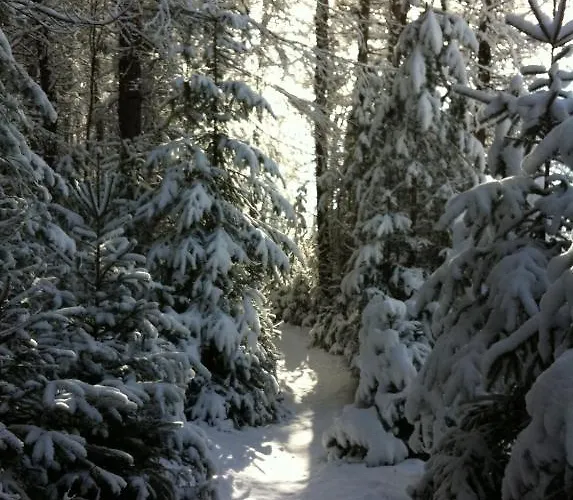 Haus Tirolerland بيت ضيافة اوتز